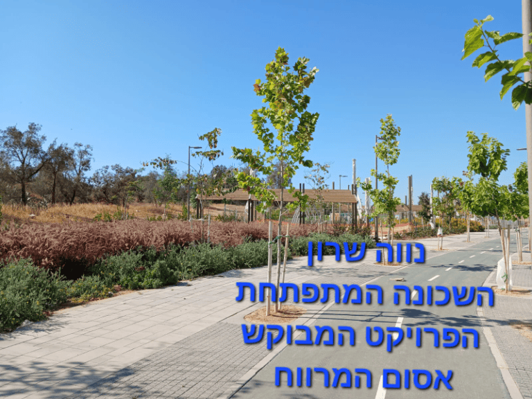 IMG20250524W